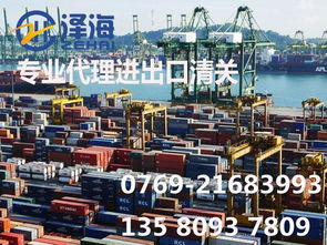 代理測(cè)量?jī)x器進(jìn)口報(bào)關(guān)與國(guó)內(nèi)貿(mào)易代理綜合指南